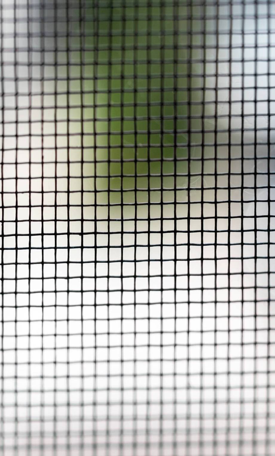 Mosquito net on the window closeup. Protection of the house from small insects. Background. Selective focus